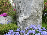 해피니스의 봄꽃들