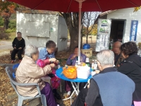 괴목정으로 가을 나들…